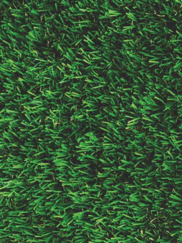 Lawn Grass_02A